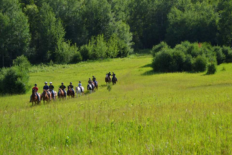Some scouts ride on horseback through an open meadow full of lush green grass in the bright daylight